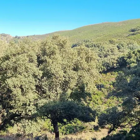 Sister's איגלסיאס